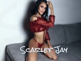 Scarlet_Jay