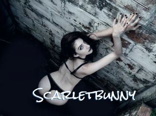 Scarletbunny