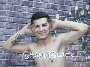 ShaneBlack