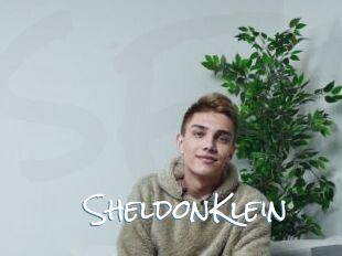 SheldonKlein