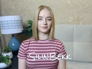 SilinBekk