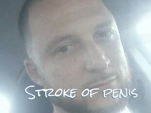 Stroke_of_penis