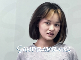 Sandrabricks