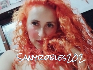 Sanyrobles202