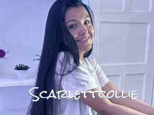 Scarlettcollie