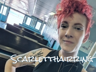 Scarletthairring