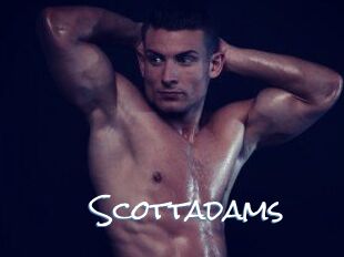 Scottadams