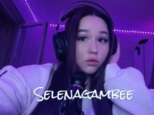 Selenagambee