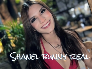 Shanel_bunny_real