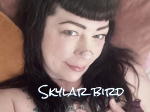 Skylar_bird