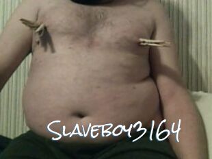 Slaveboy3164