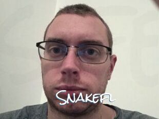 Snakefl