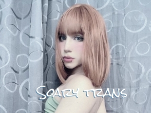 Soary_trans