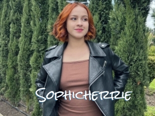 Sophicherrie