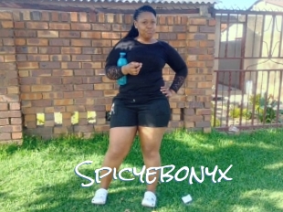 Spicyebonyx