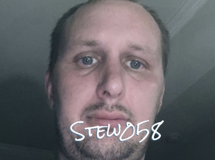 Stew058