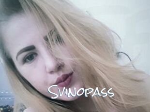 Svinopass