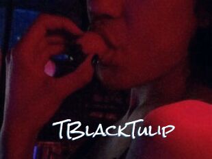 TBlackTulip