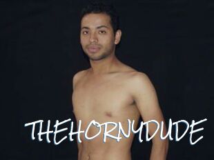 THEHORNYDUDE