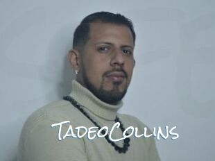 TadeoCollins