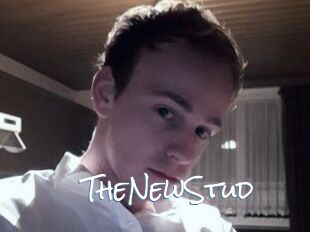 TheNewStud