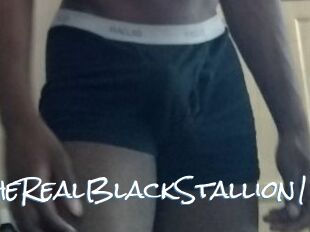 TheRealBlackStallion1