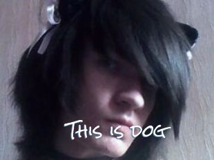 This_is_dog