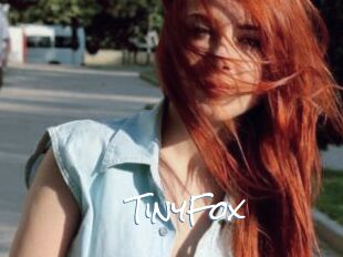 TinyFox