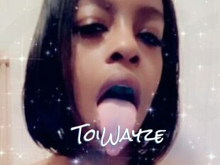 ToiWayze