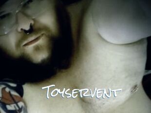 Toyservent