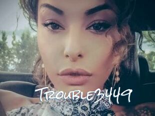 Trouble3449