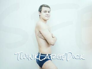 TwinkLargeDick