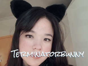 Terminatorbunny