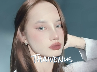 Thaivenus