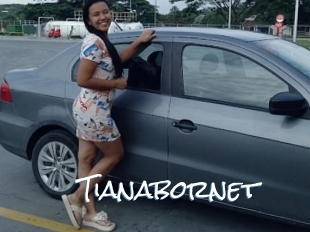 Tianabornet