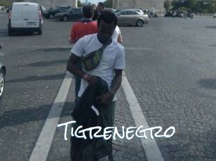 Tigrenegro