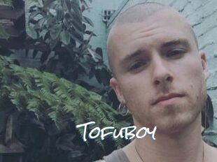 Tofu_boy