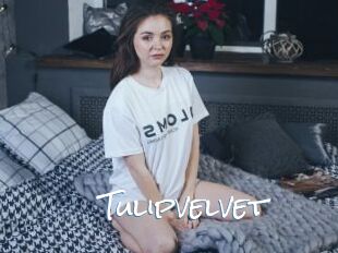 Tulipvelvet