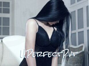 UPerfect_Pvt_