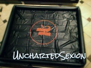 UnchartedSexion