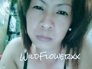 WildFlowerxx