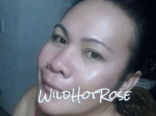 WildHotRose