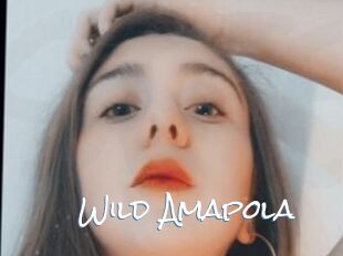 Wild_Amapola