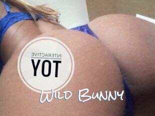 Wild_Bunny_