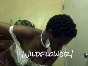 Wildflower1