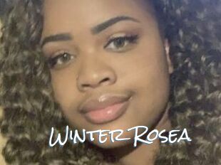 Winter_Rosea