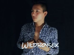 Wildboysex