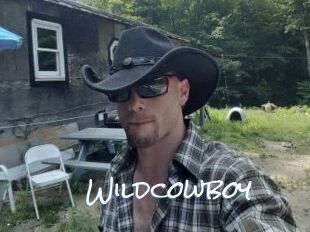 Wildcowboy