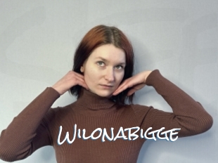 Wilonabigge