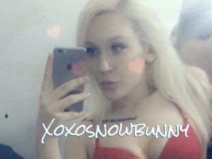 Xoxosnowbunny